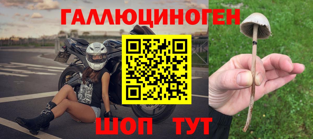 Галлюциногенные грибы MAGIC MUSHROOMS  Вход с VPN  Сухой Лог 